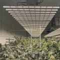 Luces de cultivo suplementarios LED de temperatura ambiente de cultivo